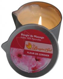 Bougie de Massage Fleur de Cerisier 