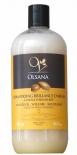 Shampooing Brillance d Argan 