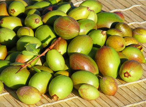 argan fruit